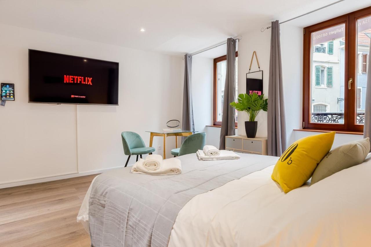 Travel Homes - L'Arsenal, Studios En Hyper Centre Mulhouse Exterior foto